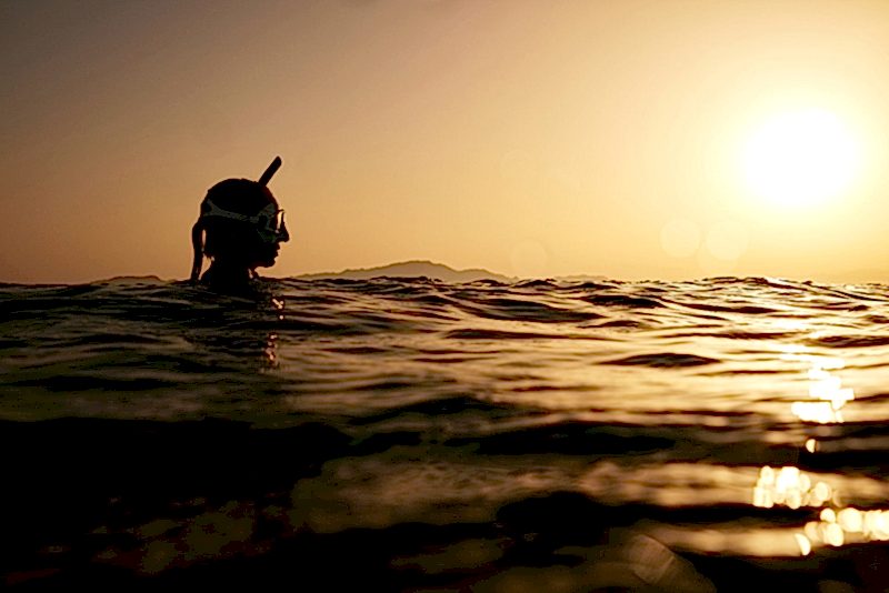 Shark Cage Diving