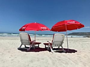 Beaches &amp; Picnics