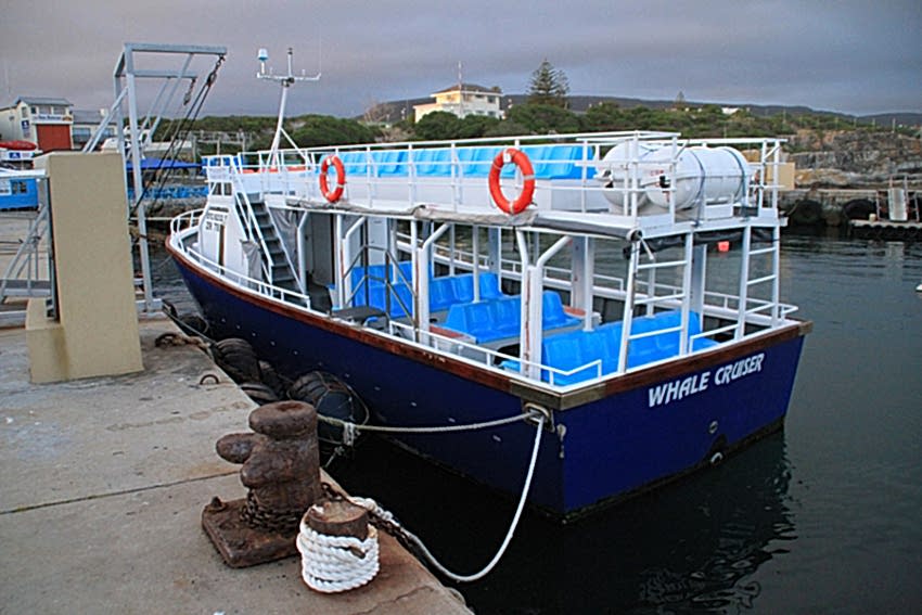 Hermanus Whale Cruises